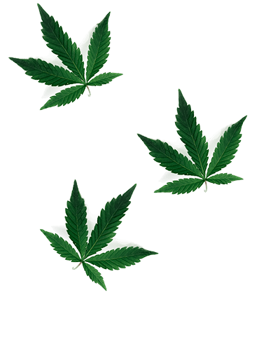o-coeur-de-la-fleur-vente-cbd-chanvre-naturel-bio-en-france-a06