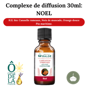 Complexe De Diffusion D'huiles Essentielles : SENTEUR NOEL - 30ml
