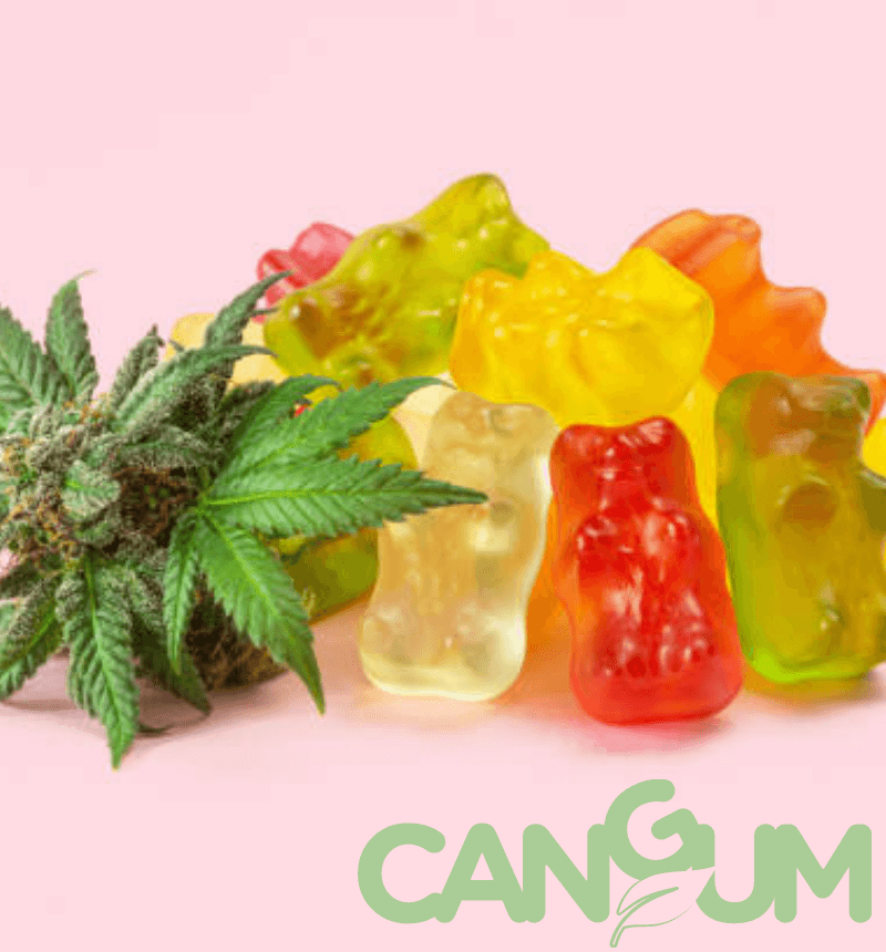 cangum-les-bonbons-au-cbd-et-cbg.x1 (1) cangum-les-bonbons-au-cbd-et-cbg