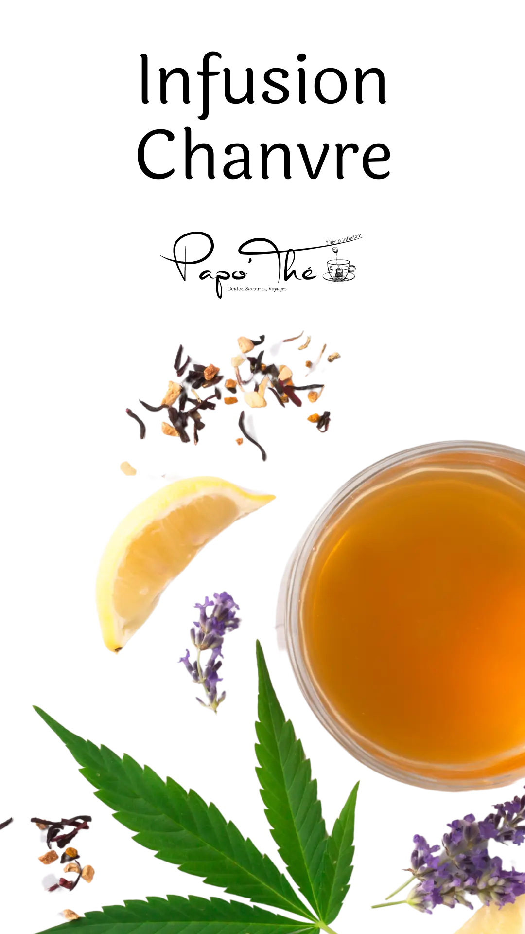 thé et infusion chanvre