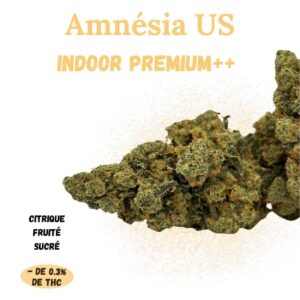 AMNESIA US - Fleur de CBD - Indoor Premium++ - A Infuser