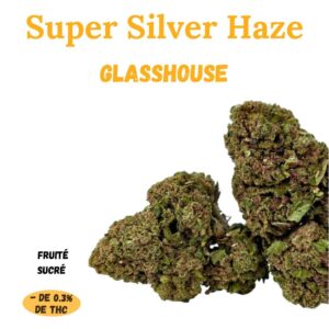 SUPER SILVER HAZE - Fleur de CBD - GlassHouse - A Infuser