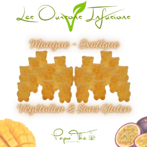 VEGETALIEN: Oursons Infusions Mangue - Exotique