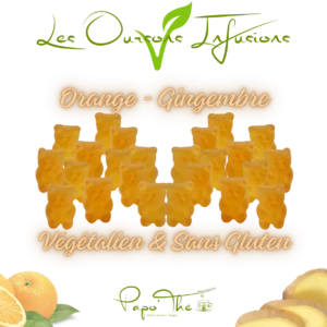 VEGETALIEN: Oursons Infusions Orange - Gingembre