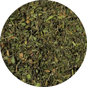 Menthe Nana - Menthe Verte coupée