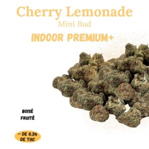 CHERRY LEMONADE- mini bud PREMIUM+ indoor - à infuser
