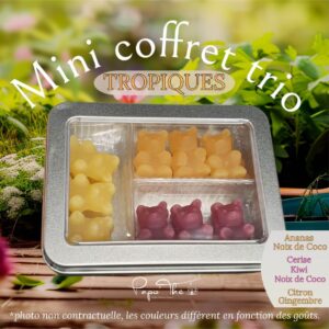 Mini TRIO TROPIQUES: oursons infusions