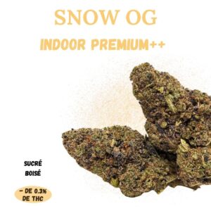 SNOW OG - Fleur de CBD - Indoor Premium++ - A Infuser