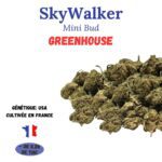 skywalker mini bud greenhouse a infuser cultivée en france