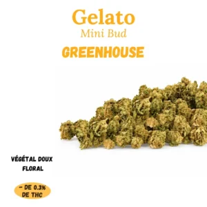 fleur cbd gelato small bud greenhouse.webp