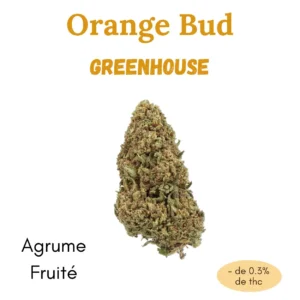 fleur cbd orange bud greenhouse.jpg